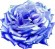 blueroseorb